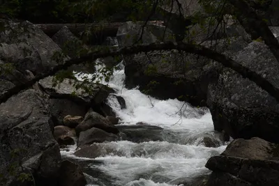 DSC_4702 (Large).JPG